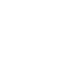 Accessibility Icon